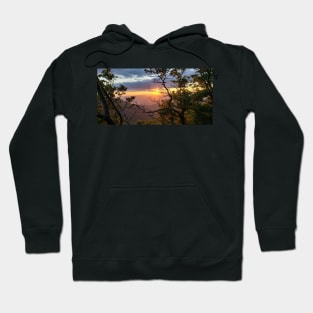 Appalachia Sunset in the Trees Hoodie